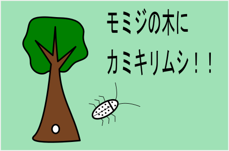 モミジの木にカミキリムシ Oboegaki